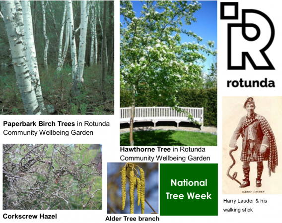 National Tree Week